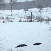 Évaux-et-Ménil 10/01/2017