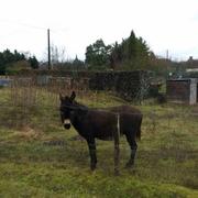 Autainville 11/01/2017