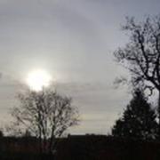 Ramillies 12/01/2017