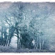 Bessey-en-Chaume 12/01/2017