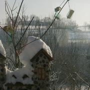 Longny-au-Perche 10/01/2010