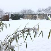 Cleebourg 13/01/2017