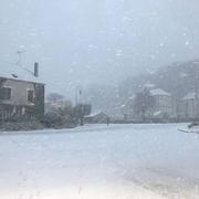 Champsevraine 13/01/2017