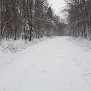 La Chapelle 13/01/2017