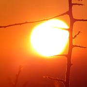 Plounéour-Ménez 14/01/2017