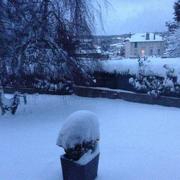 Craponne-sur-Arzon 15/01/2017