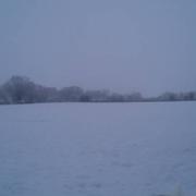 Le Favril 15/01/2017