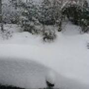 Sainte-Sigolène 15/01/2017