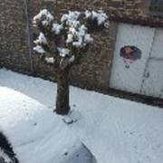 Auzat-la-Combelle 15/01/2017