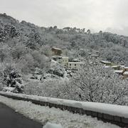 Vivario 16/01/2017