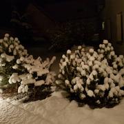 Xermaménil 16/01/2017