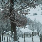 Ambacourt 16/01/2017