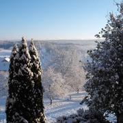 Hautevelle 16/01/2017