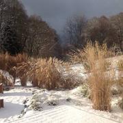 Chirac-Bellevue 16/01/2017