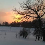 Plan-de-Baix 17/01/2017