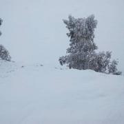 Constantine 17/01/2017