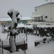 Le Monastier-sur-Gazeille 17/01/2017