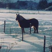 Saint-Martin-de-Fugères 18/01/2017