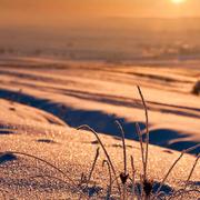 Ben Guerdane 18/01/2017