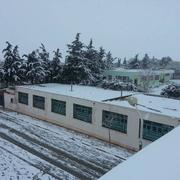 Oum El Adhaim 20/01/2017