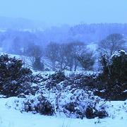 Locunolé 11/01/2010