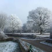 Montenoison 21/01/2017