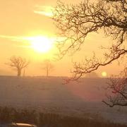 Verosvres 21/01/2017