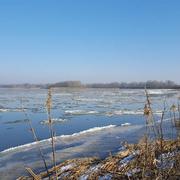 Sandillon 21/01/2017