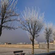 Lichères-près-Aigremont 22/01/2017