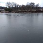 Proissans 22/01/2017