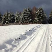 Pérols-sur-Vézère 26/01/2017