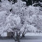 Bagnols-les-Bains 27/01/2017