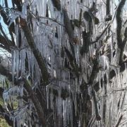 Saint-Abraham 27/01/2017