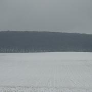 Brinon-sur-Beuvron 10/01/2010