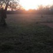 Castelnau-de-Montmiral 29/01/2017