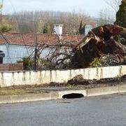 Jarnac 04/02/2017