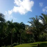 Schœlcher 05/02/2017