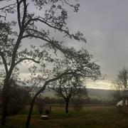 Castelnau-de-Montmiral 05/02/2017