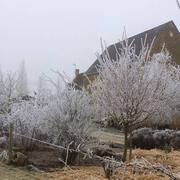 Théligny 06/02/2017