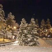 Saint-Étienne-de-Tinée 06/02/2017