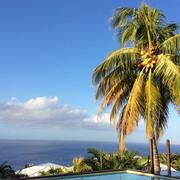 Case-Pilote 06/02/2017