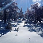 Theniet El Had 08/02/2017