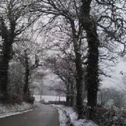 Wirwignes 11/02/2017