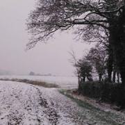 Wirwignes 11/02/2017