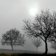 Saint-Martin-de-Ribérac 12/02/2017