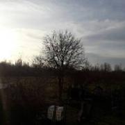 Torcé-en-Vallée 13/02/2017