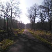 La Capelle-lès-Boulogne 13/02/2017