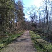 La Capelle-lès-Boulogne 13/02/2017