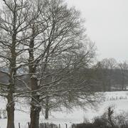 Brinon-sur-Beuvron 11/01/2010