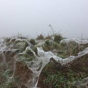 Terminiers 17/02/2017